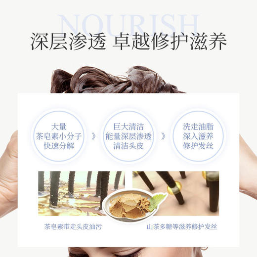 【2瓶立减20】青彩山茶氨基酸精油洗发水  天然植物成分呵护头皮滋养秀发  改善头屑油腻  拯救发际线   300ml/瓶 商品图3