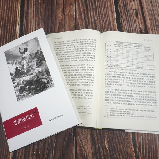 非洲现代史 六点非洲系列 林毅夫推荐 非洲史学者李安山撰 商品图3
