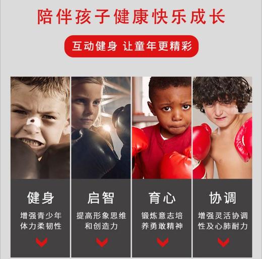 【运动装备】儿童拳击沙袋不倒翁立式小孩家用吊式散打沙包 商品图1