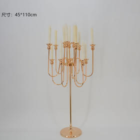 ZY2-124【运费自理】