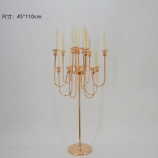 ZY2-124【运费自理】 商品图0