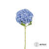 绣球 | 大海蓝 商品缩略图2