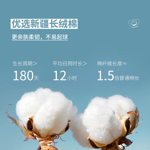 【90-150】男女童春秋休闲百搭卫裤裤子精典泰迪 商品图3