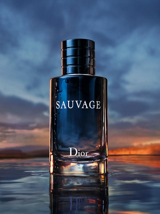 【迪奥】【Dior】B1F 迪奥旷野淡香水 60ml 商品图1