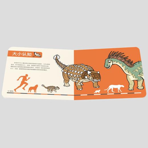 PNSO0-3岁幼儿认知能力培育书《三岁以前我认识很多恐龙》全5册 商品图3