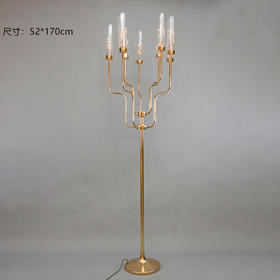 ZY4-161【运费自理】