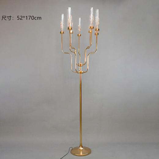 ZY4-161【运费自理】 商品图0