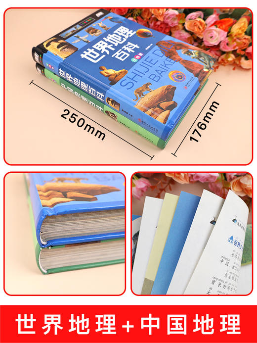 全套2册世界地理百科全书青少年写给儿童的 中国地理百科旅游自然科普类知识环球国家地理书籍8-10-12岁少儿童中小学生课外阅读 商品图1