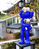 Kaws take-蓝色 商品缩略图1
