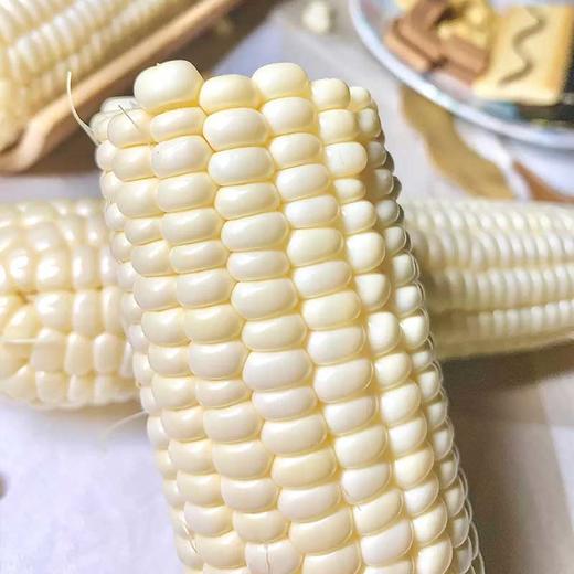 常规种植冰糖玉米 商品图0