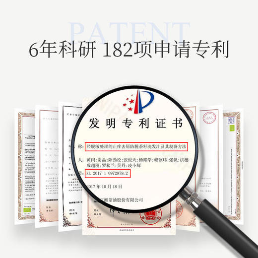 【2瓶立减20】青彩山茶氨基酸精油洗发水  天然植物成分呵护头皮滋养秀发  改善头屑油腻  拯救发际线   300ml/瓶 商品图4