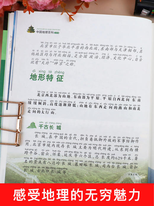 全套2册世界地理百科全书青少年写给儿童的 中国地理百科旅游自然科普类知识环球国家地理书籍8-10-12岁少儿童中小学生课外阅读 商品图4