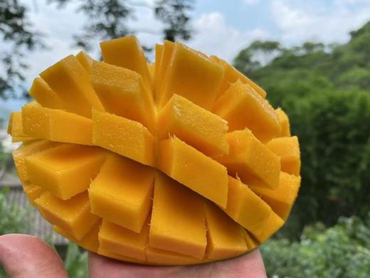 拼团29.9元3斤泰国6A大山竹 商品图0