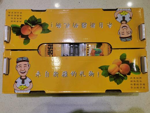 阿克苏吊干杏一件6盒装 商品图0