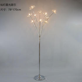 灿烂星光路引【运费自理】