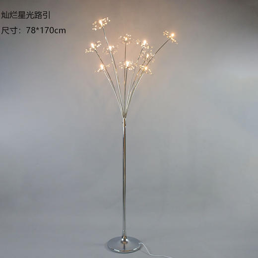 灿烂星光路引【运费自理】 商品图0