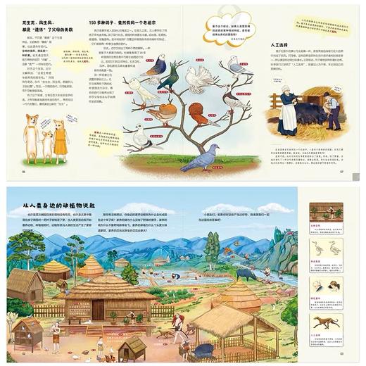 【硬壳精装】孩子一读就懂的物种起源 （全景手绘版）——适合7-10岁 商品图1