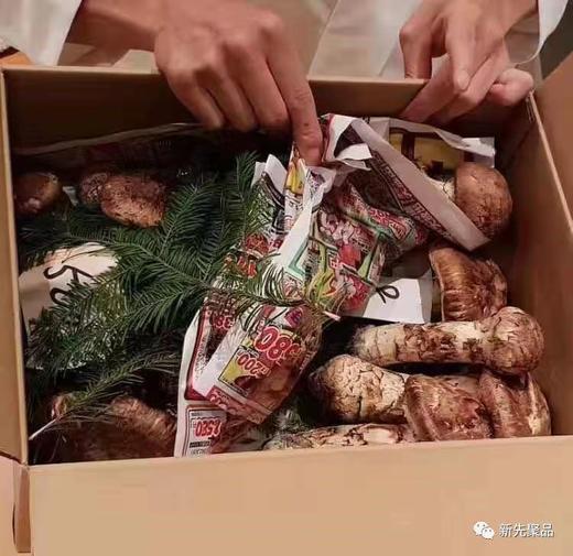 醉肥美季|应季菌王大松茸新鲜上市！稻城4000+米高原野生！神级珍馐肥嫩香滑超好吃！ 商品图1