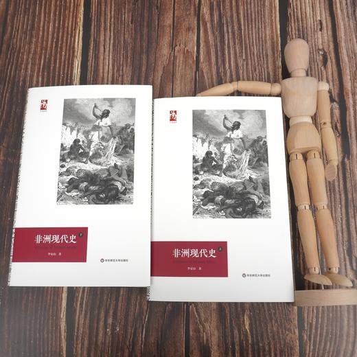 非洲现代史 六点非洲系列 林毅夫推荐 非洲史学者李安山撰 商品图1
