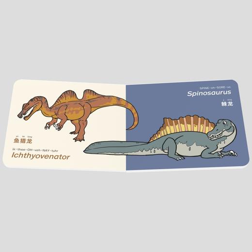 PNSO0-3岁幼儿认知能力培育书《三岁以前我认识很多恐龙》全5册 商品图4