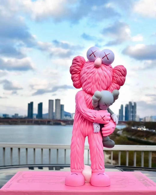 Kaws take-粉色 商品图1