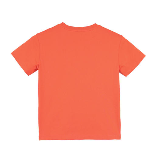 HX 夏季童装T恤S102120757401/402/403/404 商品图4