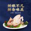 山中鲜有机仔公鸡2只 商品缩略图1