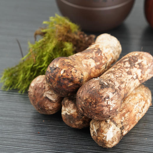 【下单后48小时左右发货】云南 起家 香格里拉 鲜松茸1000g左右 有5-7cm,7-9cm,9-12cm三种规格哦！ 商品图0