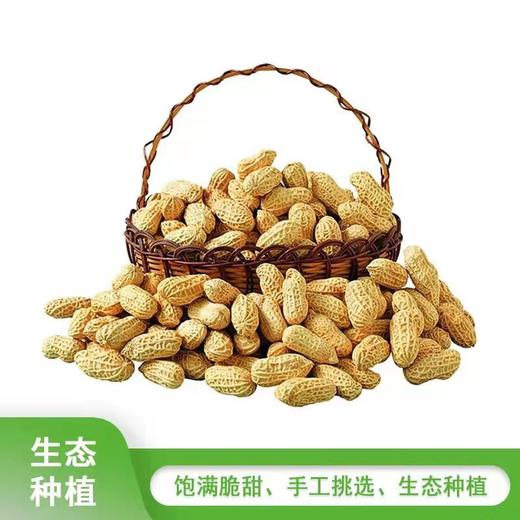 农场鲜花生  （750g） 商品图0