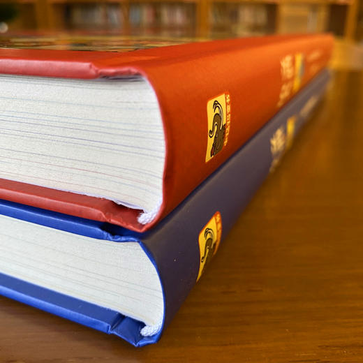 【礼盒装】数学大典+语文大典（全4册）赠视频课程 11000+知识点，9000+练习题 8大素养1000余个文学 商品图14