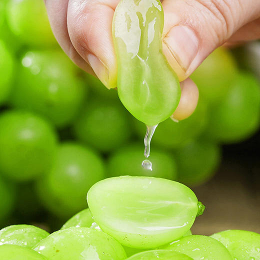 【葡萄之王】广东阳光玫瑰葡萄（5斤） 商品图6