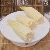 常规种植冰糖玉米 商品缩略图2