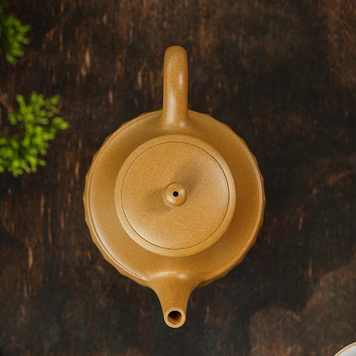 宜兴龙德堂陶艺 汤宣武《初绽》原矿黄金段 250  cc 商品图3