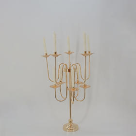 ZY2-108【运费自理】