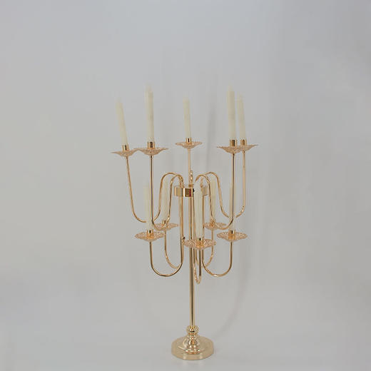 ZY2-108【运费自理】 商品图0