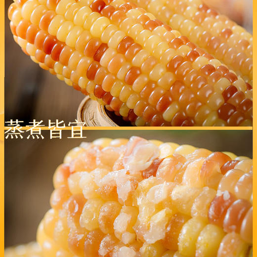 云南西双版纳小花糯玉米，鲜香软嫩，营养健康又低脂~ 商品图3
