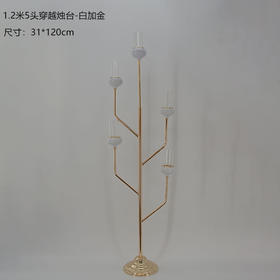 5头穿越烛台（玻璃管）【运费自理】