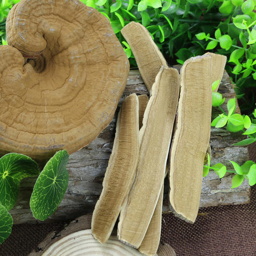 【清远帮扶】清远林中宝灵芝片120g 商品图2