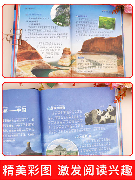 全套2册世界地理百科全书青少年写给儿童的 中国地理百科旅游自然科普类知识环球国家地理书籍8-10-12岁少儿童中小学生课外阅读 商品图3