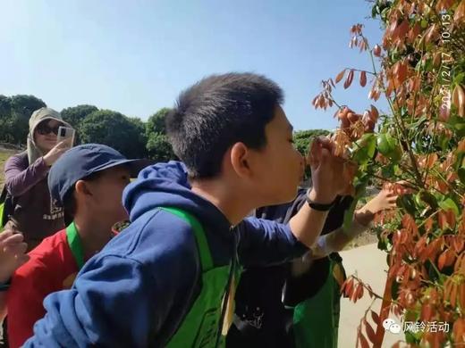 秋季农耕系列课程|秋天收获季，五感觅秋 商品图0