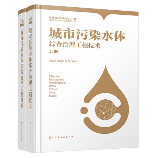 城市污染水体综合治理工程技术（上、下册） 商品图1