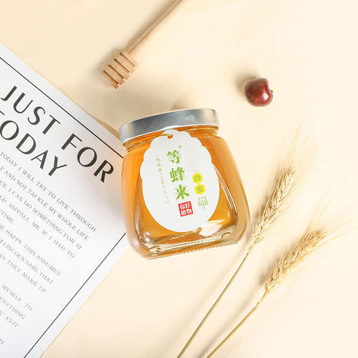 等蜂来 田园蜂蜜618g/瓶【CZ】 商品图4