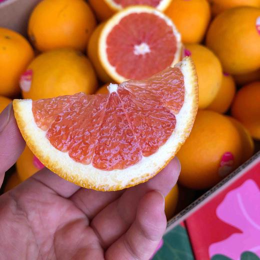 【cara 血橙】澳大利亚血橙,功能型水果,酸甜适宜,维生素比普通橙子多