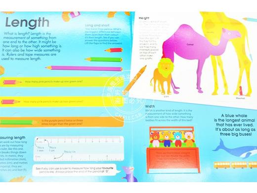 现货 DK儿童百科系列 如何巧量度 How to Measure Everything 英文原版绘本 趣味数学量度图解 纸板书 翻翻书 商品图2