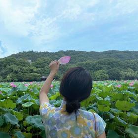 号精选椅子啊抗菌