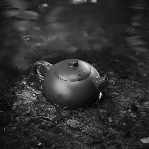 宜兴龙德堂陶艺 汤宣武《峥嵘岁月·嵘嵘》原矿大红袍 160 cc 商品图3