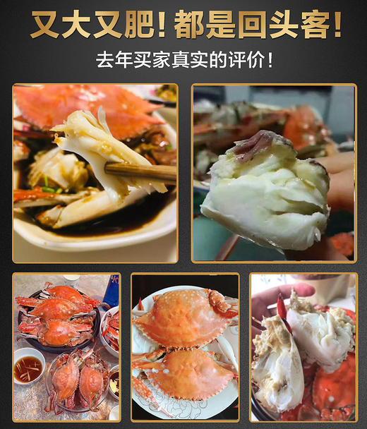 【顺丰冷链】野生速冻梭子蟹 1500g/4-6只 商品图5