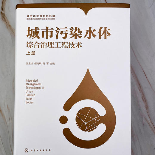 城市污染水体综合治理工程技术（上、下册） 商品图8