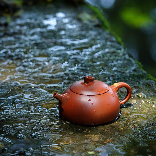 宜兴龙德堂陶艺 汤宣武《峥嵘岁月·嵘嵘》原矿大红袍 160 cc 商品图2