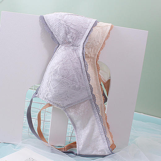 【ABC杯】熳洁儿 夏甜美蕾丝小胸聚拢文胸u形美背无钢圈莫代尔透气内衣21261579 商品图3